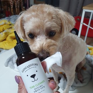 기린짱맘님이 올린 리뷰 사진 1
