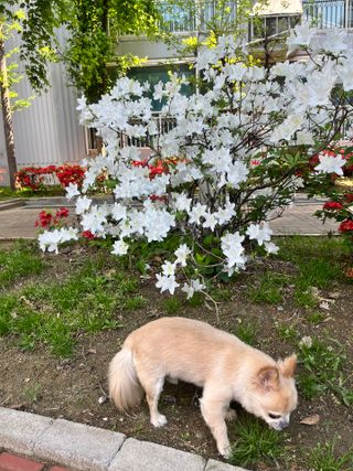Lucy님이 올린 리뷰 사진 3