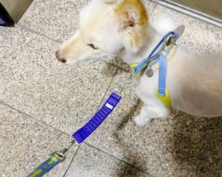 정민트님이 올린 리뷰 사진 2