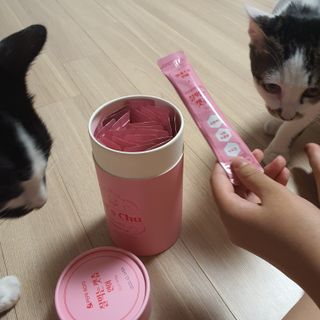 페페로니 잘 먹는 캣츄 - 알래스카 연어 24개입 — 4점을 준 리뷰어가 2021년 9월 올린 사용 사진