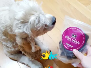 도운맘님이 올린 리뷰 사진 4