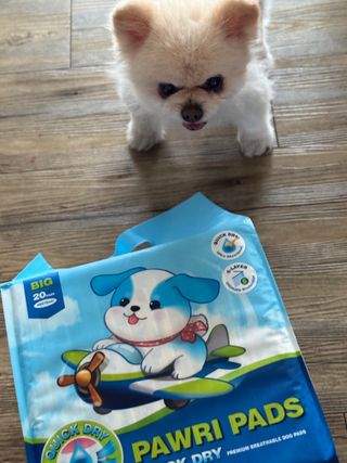 쪼롱이님이 올린 리뷰 사진 3