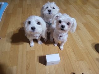 공팔리터님이 올린 리뷰 사진 1