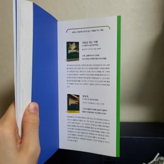 몽실몽실님이 올린 리뷰 사진 3