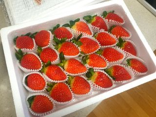 옳음 딸기 논산 설향 딸기 900g 산지직송 — 5점을 준 리뷰어가 2021년 1월 올린 사용 사진