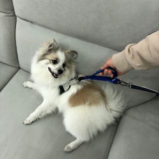 지수님이 올린 리뷰 사진 4