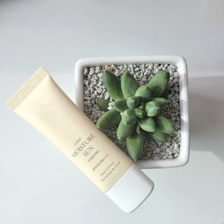 쭌하맘님이 올린 리뷰 사진 3