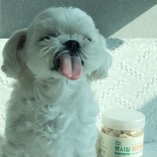 [펫시밀] 원물그대로 영양듬뿍 진공동결건조 북어트릿75g,치킨트릿100g,연어트릿75g 강아지 고양이 간식 — 5점을 준 리뷰어가 2023년 5월 올린 사용 사진