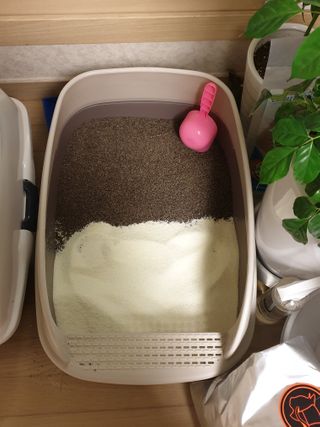 하루룽님이 올린 리뷰 사진 3