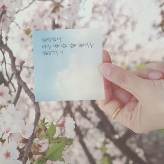 moonlight님이 올린 리뷰 사진 2