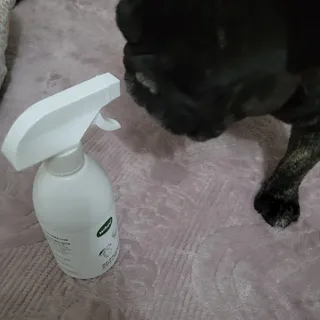 *명*수*님이 올린 리뷰 사진 3