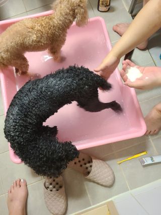 잠주부옥님이 올린 리뷰 사진 3