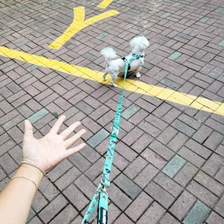 mini unni님이 올린 리뷰 사진 4