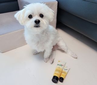 소중하비님이 올린 리뷰 사진 1