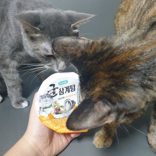 이째님이 올린 리뷰 사진 4