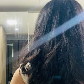 (주)닥터오레고닌 닥터오레고닌 탁시폴린 에디션 샴푸 — 5점을 준 리뷰어가 2023년 8월 올린 사용 사진
