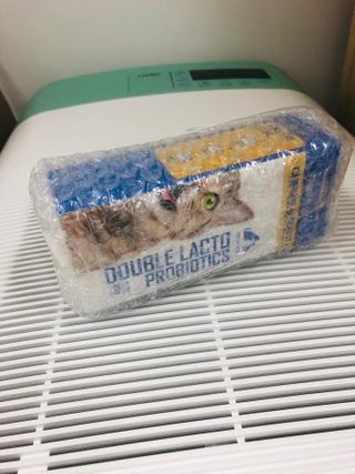 씨디랩 구강에서 장까지 한 번에 관리하는 더블락토 강아지 고양이 유산균 — 5점을 준 리뷰어가 2021년 6월 올린 사용 사진