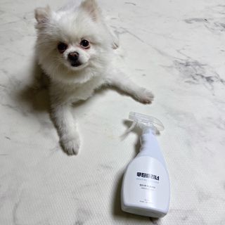 오랑이님이 올린 리뷰 사진 1