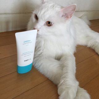 시몽님이 올린 리뷰 사진 1