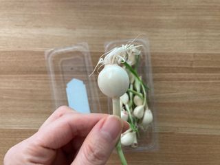 달이님이 올린 리뷰 사진 2