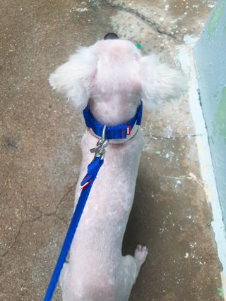 미진냥님이 올린 리뷰 사진 1
