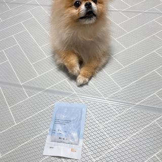 삐약삐삐약님이 올린 리뷰 사진 4