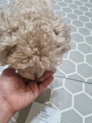 진쓰님이 올린 리뷰 사진 4