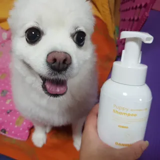 [댕모어 샴푸 2종] 댕샴푸 / 퍼피샴푸  2종 세트 (300ml) — 4점을 준 리뷰어가 2023년 9월 올린 사용 사진