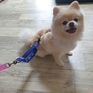 bangwoori님이 올린 리뷰 사진 1