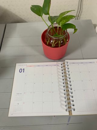 리훈 2023년 오늘공부 10분 타임테이블 스터디플래너 공시생 수험생 — 5점을 준 리뷰어가 2022년 12월 올린 사용 사진