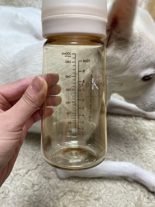 스쿰비님이 올린 리뷰 사진 4