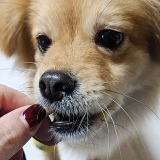 닝닝닝닝닝님이 올린 리뷰 사진 3