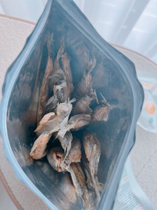 [펫시밀] 원물그대로 영양듬뿍 진공동결건조 치킨텐더100g, 열빙어트릿100g 강아지 고양이 간식 — 5점을 준 리뷰어가 2023년 5월 올린 사용 사진