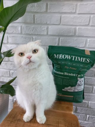 좋아님이 올린 리뷰 사진 1