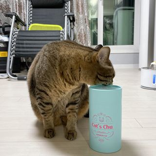 페페로니 잘 먹는 캣츄 - 원양선 참치 24개입 — 5점을 준 리뷰어가 2021년 10월 올린 사용 사진