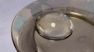 (주) 피치코리아 물방울떡젤리 X 2개입 — 5점을 준 리뷰어가 2022년 11월 올린 사용 사진