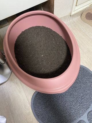 진아님이 올린 리뷰 사진 1