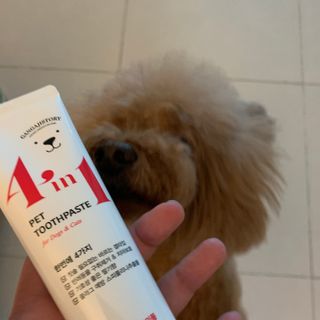 코끼리님이 올린 리뷰 사진 1