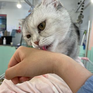 세지니힛님이 올린 리뷰 사진 3
