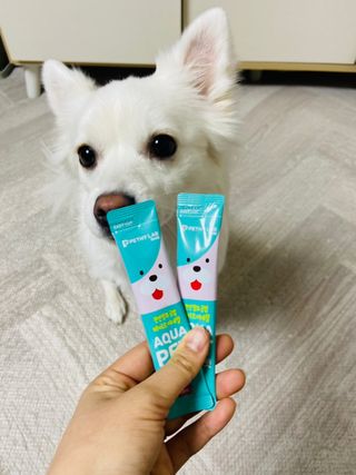 펫시랩 반려견용 액상 프리바이오틱스 아쿠아펫 — 5점을 준 리뷰어가 2021년 1월 올린 사용 사진