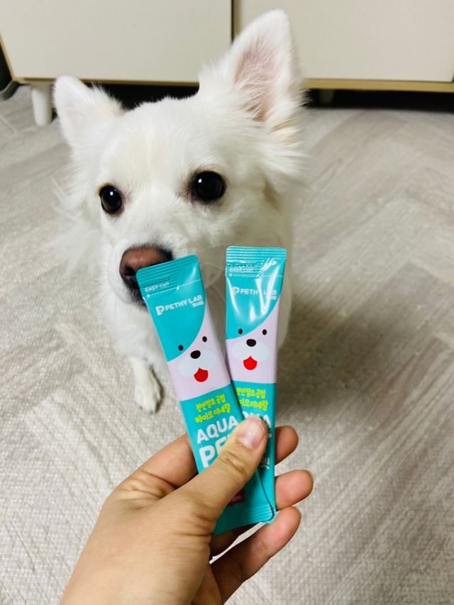 반려견용 액상 프리바이오틱스 아쿠아펫 리뷰 사진