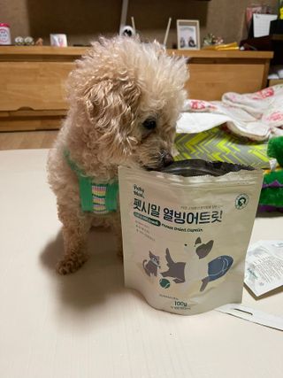[펫시밀] 원물그대로 영양듬뿍 진공동결건조 치킨텐더100g, 열빙어트릿100g 강아지 고양이 간식 — 5점을 준 리뷰어가 2023년 5월 올린 사용 사진