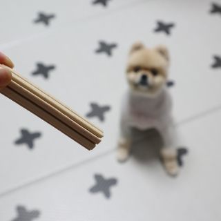 페페로니 클린플러스 덴탈치킨껌 10g x 14p — 5점을 준 리뷰어가 2021년 7월 올린 사용 사진