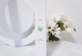 [스킨1004] 마다가스카르 센텔라 히알루-시카 워터핏 선세럼 50ml — 5점을 준 리뷰어가 2024년 5월 올린 사용 사진