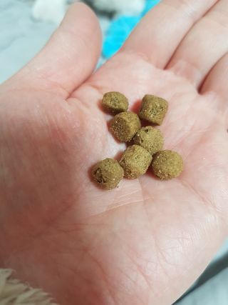 😍0.8리터러브😍님이 올린 리뷰 사진 4