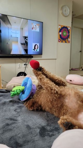 lovelyj000님이 올린 리뷰 사진 1