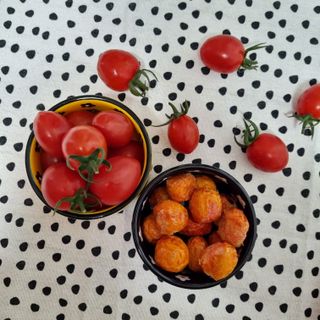 레드닥터 대추방울토마토 + 통째로 동결건조한 대추방울토마토 — 4점을 준 리뷰어가 2022년 12월 올린 사용 사진