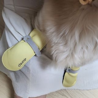 PDKIM님이 올린 리뷰 사진 4