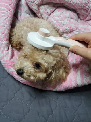 모모맘님이 올린 리뷰 사진 3