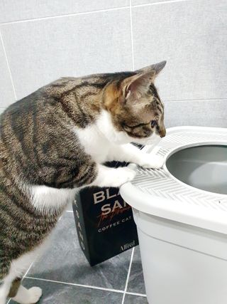 혀으니님이 올린 리뷰 사진 3